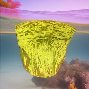 designer vintage holographic corset top